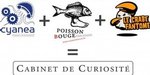 Le Cabinet de Curiosit� se jette � l'eau !