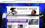 Site Internet du Festival Interceltique : 1 million de pages vues