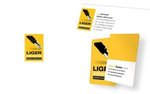 Page Liger Communication