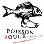 Poisson Bouge, D�veloppeur Informatique de p�re en fils depuis 1876...