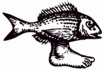 Science : D�couverte d'un animal inconnu dans le bassin lig�rien