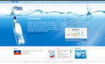 Page d'accueil du nouveau site Didier