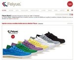 site Feiyue V2