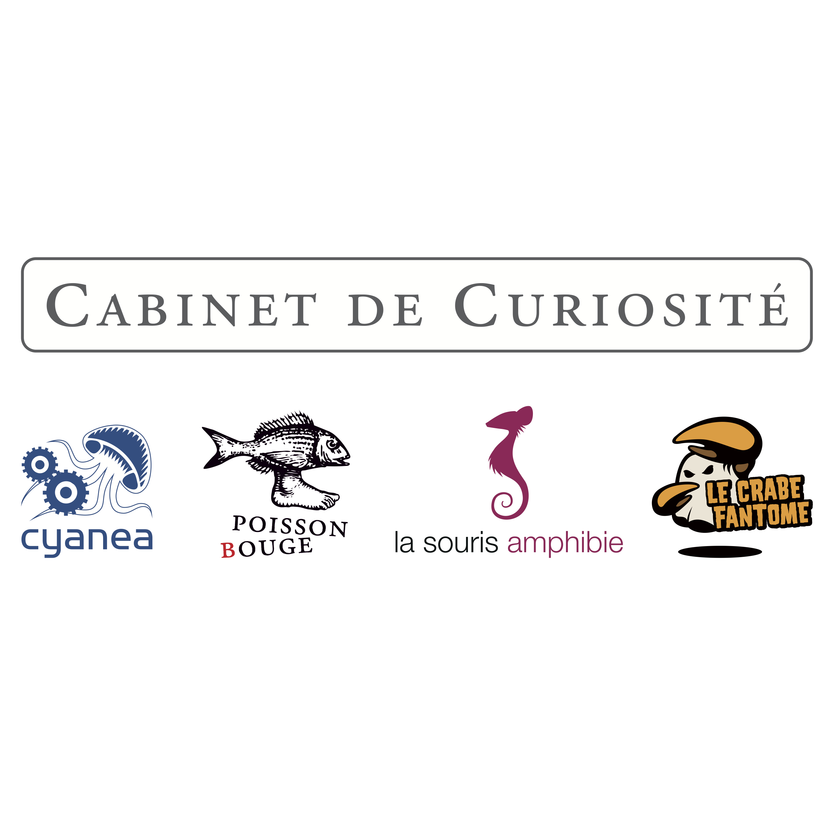 Réalisations vidéo du Cabinet de Curiosité